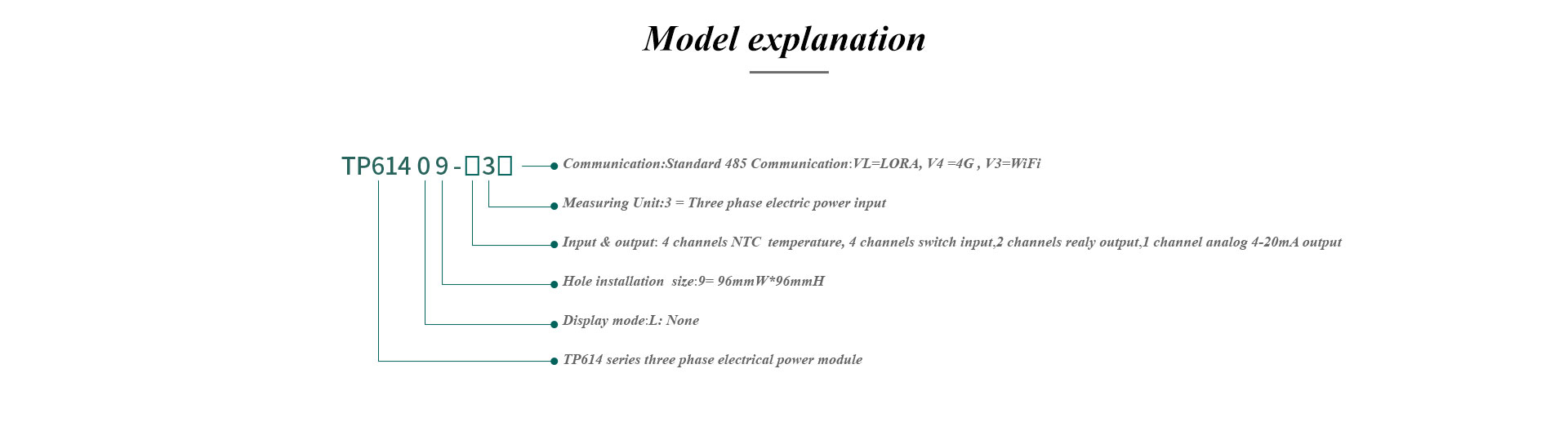 Multi-function Electrical power module